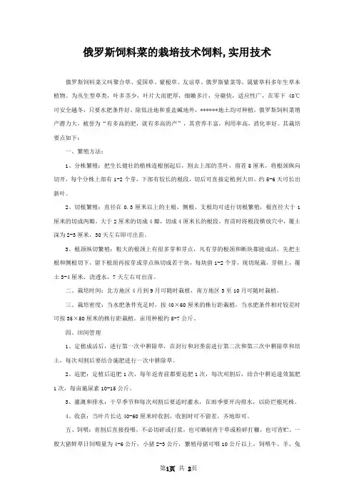 俄罗斯饲料菜的栽培技术饲料,实用技术