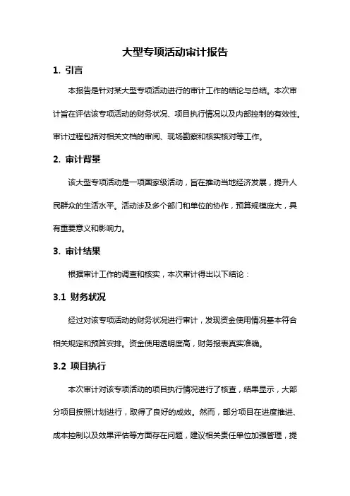 大型专项活动审计报告