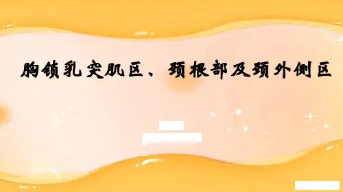 6.胸锁乳突肌区、颈根部及颈外侧区