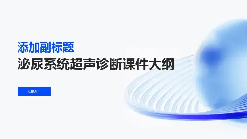 泌尿系统(超声诊断课件)