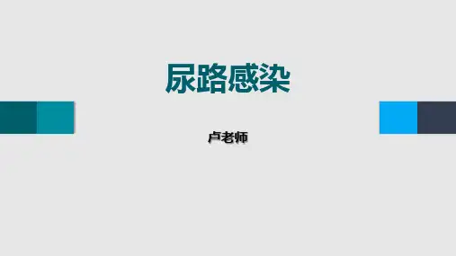 尿路感染(中西医结合内科学)