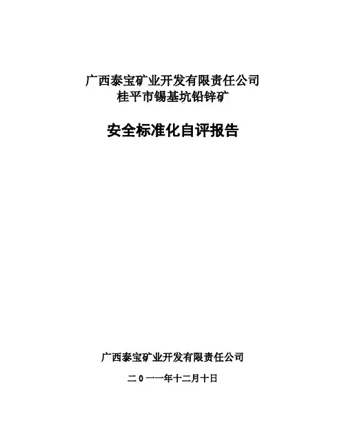 矿山安全标准化自评报告
