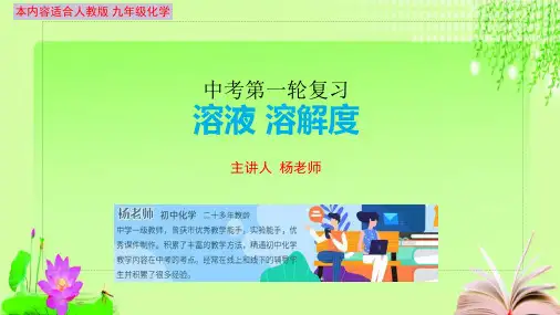 最新中考化学复习专项溶液+溶解度(共28张PPT)教育课件