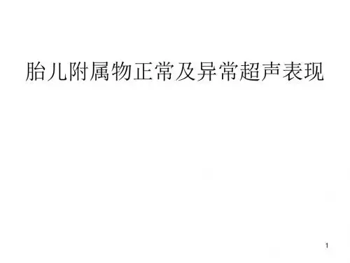 胎儿附属物超声ppt课件
