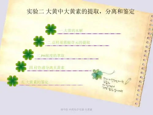 大黄中大黄素的提取分离与鉴定精品PPT课件