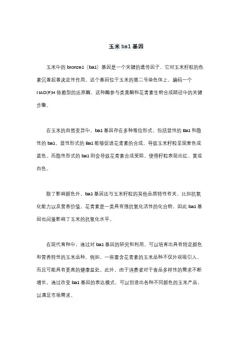 玉米ba1基因