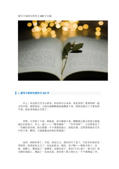 描写下雨的写景作文600字5篇 
