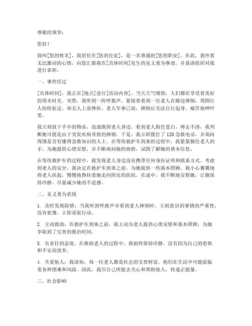 见义勇为事迹申请报告