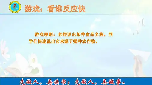 湘教版八年级上册地理：第一节 农业