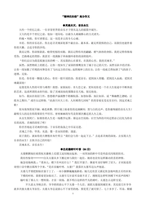 南通市 满分作文  精神的归宿