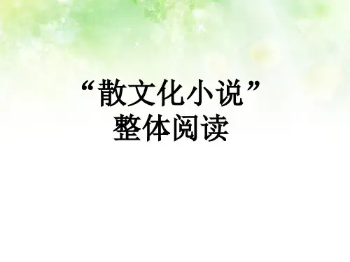 优质课2019届高三语文一轮复习 散文化小说 (共27张PPT)
