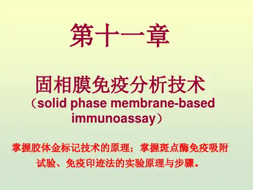 免疫检验 第十一章 固相膜免