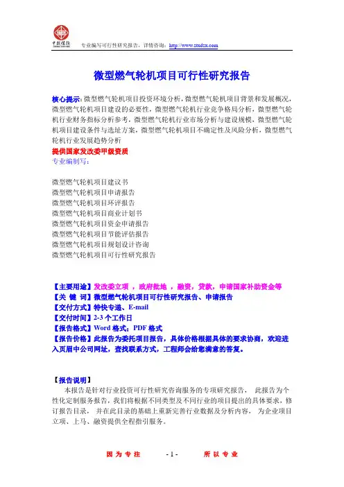 微型燃气轮机项目可行性研究报告