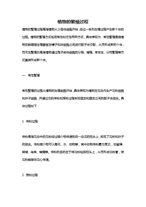 植物的繁殖过程