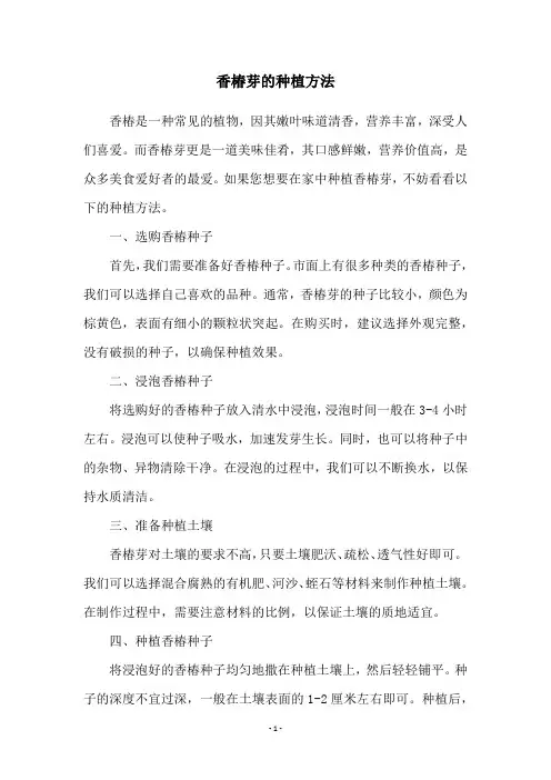 香椿芽的种植方法