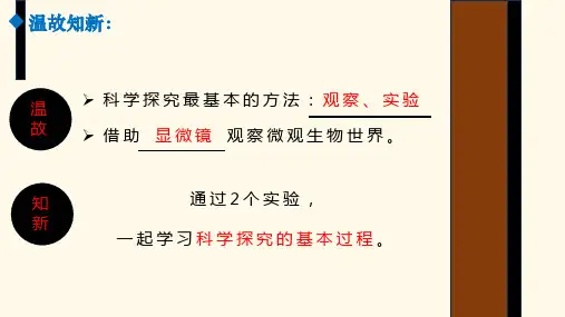 生物学的基本研究方法(第3课时学习科学探究的基本过程)七年级生物上册教学课件(苏科版)