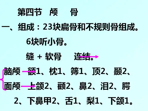 解剖学  4颅骨及其连结