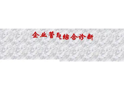企业诊断咨询报告