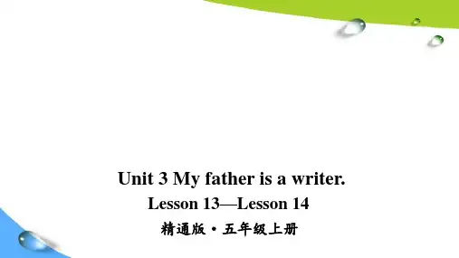 人教精通版五上英语Lesson 13—Lesson 14