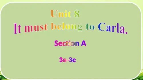 Unit 8 Section A(3a-3c)九年级英语全册(人教版)