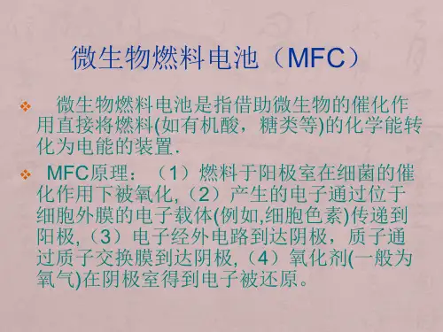微生物燃料电池(MFC)
