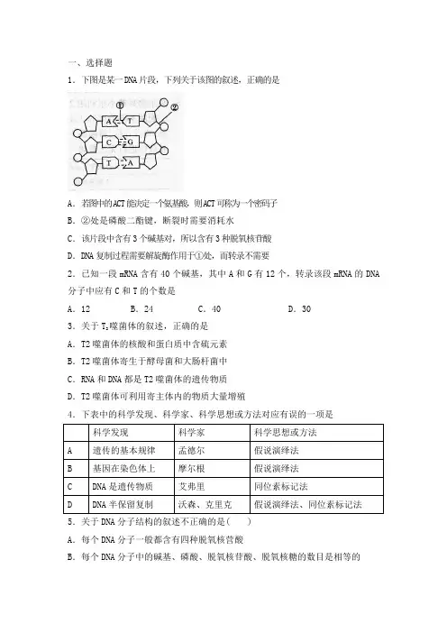 人教版高中生物必修二第三章基因的本质 检测试题  含答案