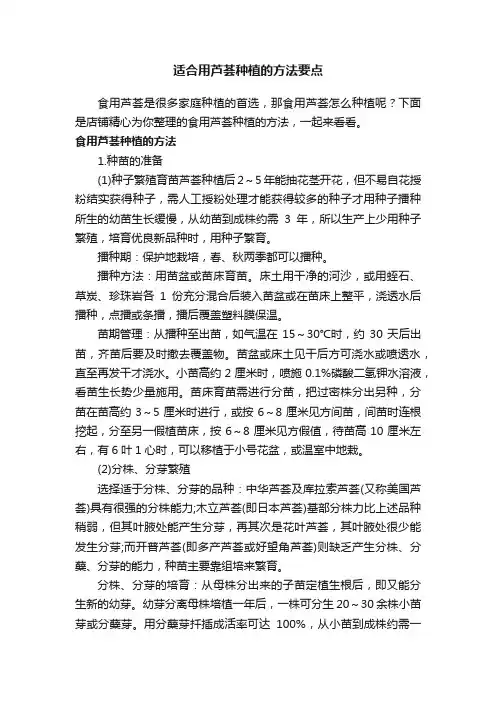 适合用芦荟种植的方法要点