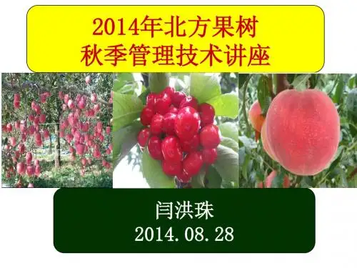 北方苹果大樱桃、桃树栽培课件