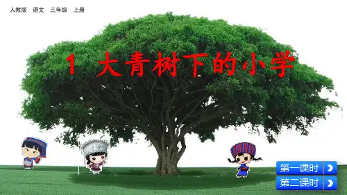 部编人教版三年级语文上册第1课《大青树下的小学》精美PPT课件