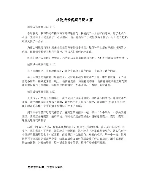 植物成长观察日记3篇