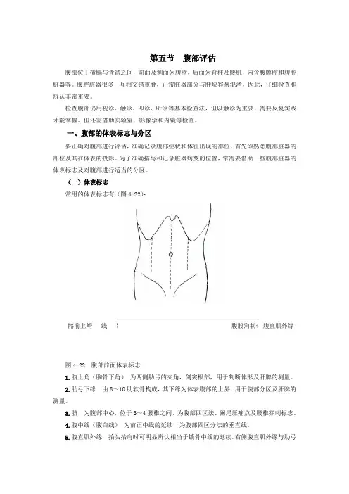 第五节  腹部评估