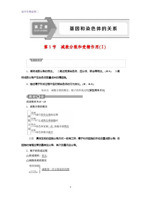人教版生物必修二讲义：第2章 第1节 减数分裂和受精作用(Ⅰ)含答案