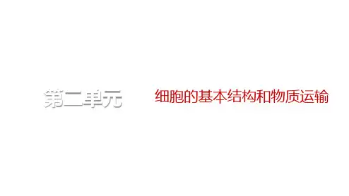 一轮复习人教版细胞的物质输入和输出(68张)课件