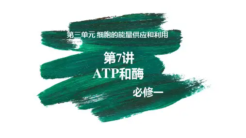 第07讲 ATP和酶-备战2023年高考生物一轮复习