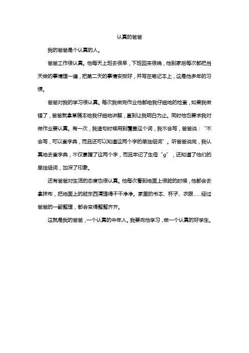 认真的爸爸