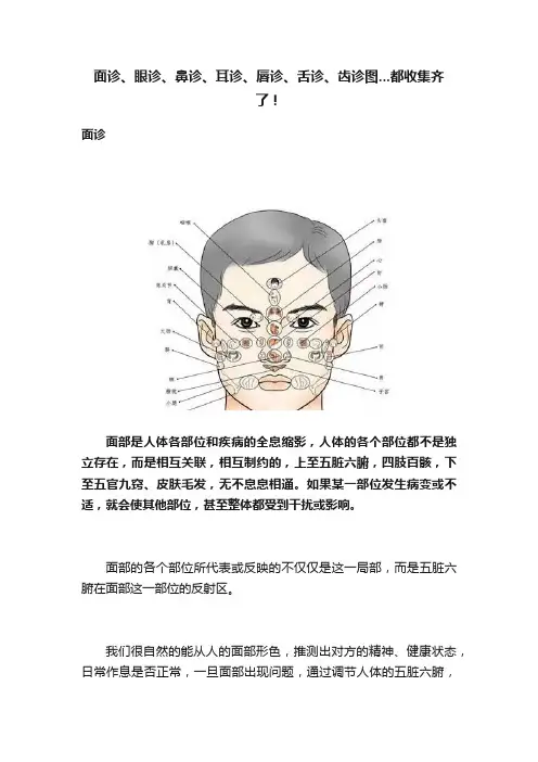 面诊、眼诊、鼻诊、耳诊、唇诊、舌诊、齿诊图...都收集齐了！