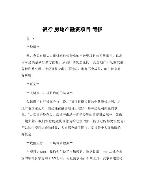 银行 房地产融资项目 简报
