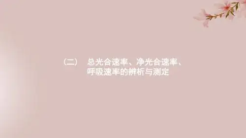 (新人教版)2020版高考大一轮复习学科素养微专题2总光合速率、净光合速率、呼吸速率的辨析与测定(生物)