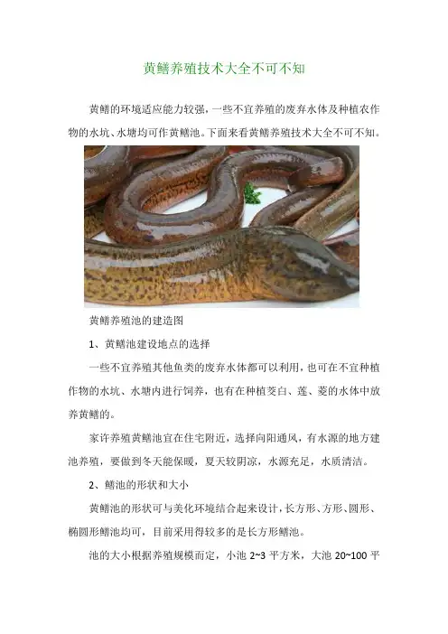 黄鳝养殖技术大全不可不知