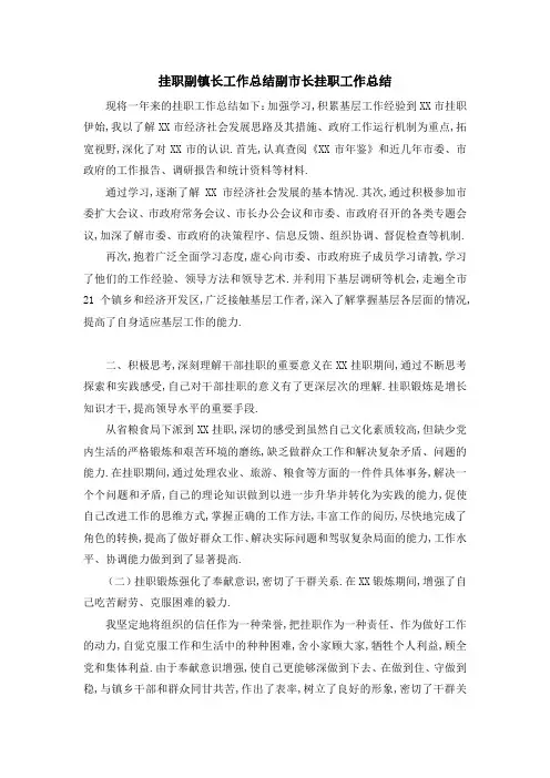 挂职副镇长工作总结 副市长挂职工作总结 精品