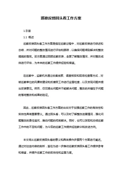 巡察反馈回头看工作方案