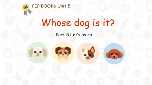 人教PEP版英语五年级下册Unit5 Whose dog is it B learn课件