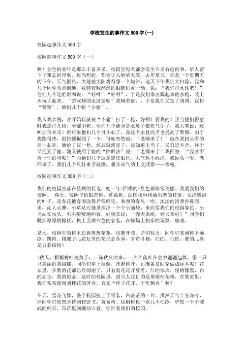 学校发生的事作文500字