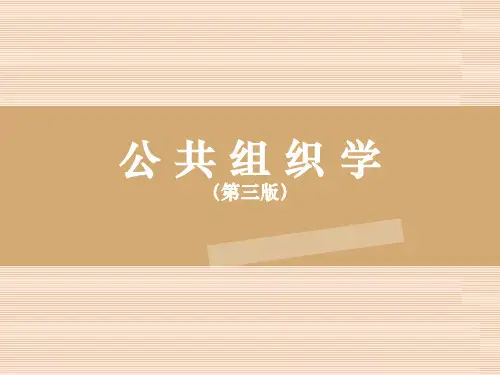 公共组织学(第三版)课件：公共组织环境