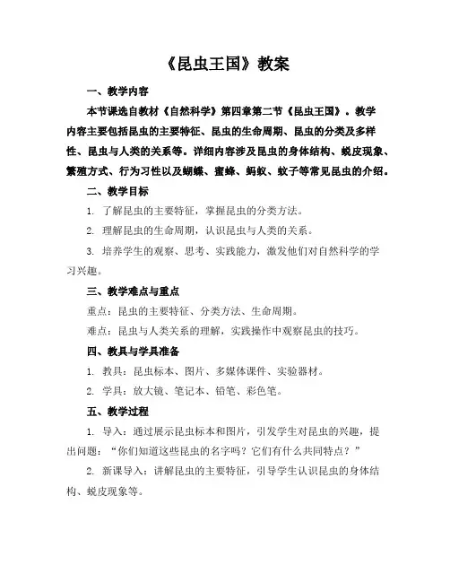《昆虫王国》教案