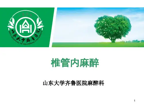 椎管内麻醉PPT课件