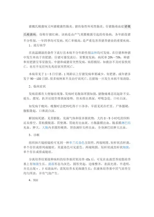 猪魏氏梭菌病