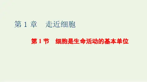 新教材高中生物第1章第1节细胞是生命活动的基本单位课件新人教版必修1