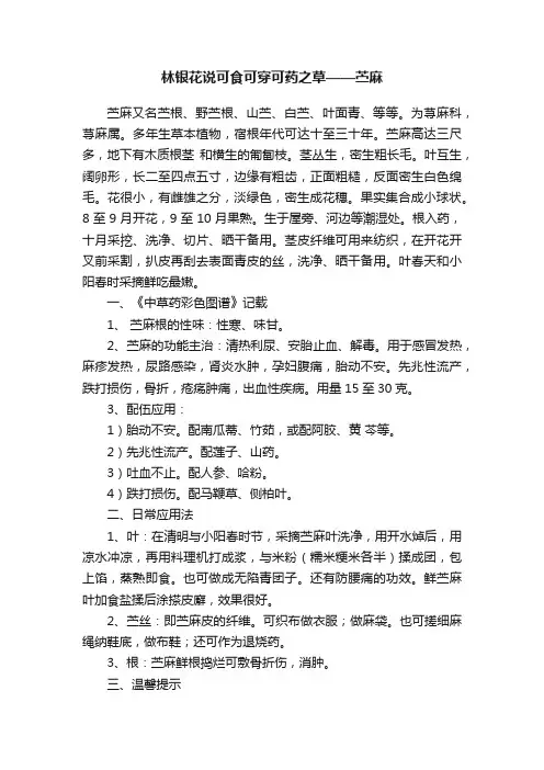林银花说可食可穿可药之草——苎麻