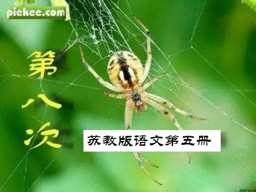 苏教版三年级上册第八次课件